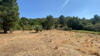 Land for sale in Gouveia, Portugal — €12,500