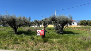 Terreno em Tomar
