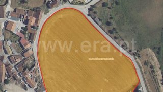 Terreno em Santarém · 12 800 m² · 127 500 €
