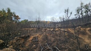 Land for sale in Fundão, Portugal — €10,000