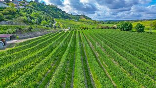 Land for sale in Santarém, Portugal — €595,000