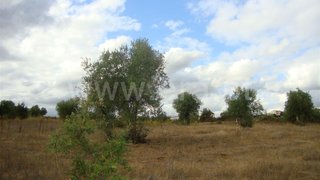 Land for sale in Sardoal, Portugal — €31,000