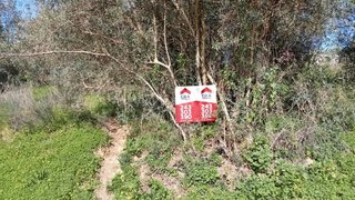 Terreno de 13 000 m² em Santarém