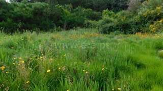 Land for sale in Fundão, Portugal — €8,700