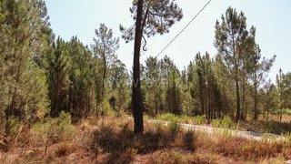 Land for sale in Ourém, Portugal — €30,000