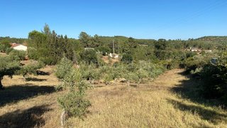 Land for sale in Abrantes, Portugal — €42,000