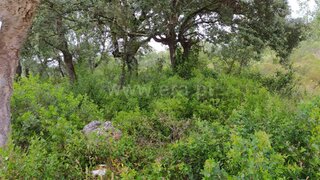 Land for sale in Ourém, Portugal — €27,500