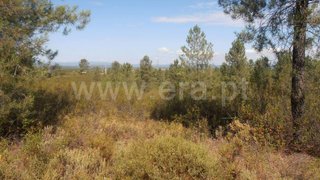 Terreno de 65 760 m² em Castelo Branco