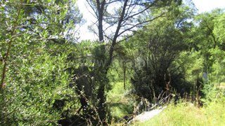 Land for sale in Abrantes, Portugal — €25,000