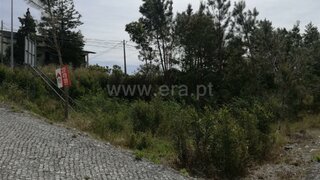 Land for sale in Cantanhede, Portugal