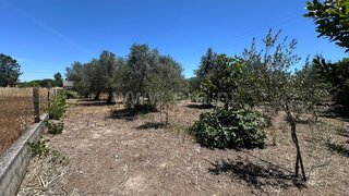 Terreno · 660 m² · 26 000 €