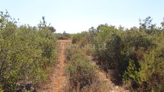Land for sale in Alcanena, Portugal — €21,750