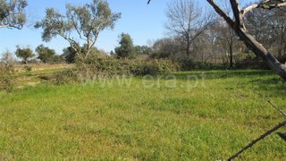 Land for sale in Fundão, Portugal — €15,000