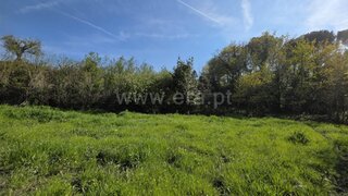 Land for sale in Tábua, Portugal — €95,000