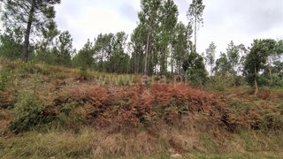 Land for sale in Ourém, Portugal — €25,000