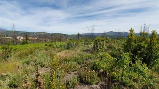 Land for sale in Oliveira do Hospital, Portugal — €56,000