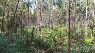 Land for sale in Ourém, Portugal — €9,000