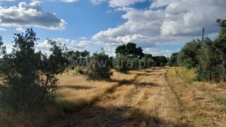 Land for sale in Abrantes, Portugal — €30,000