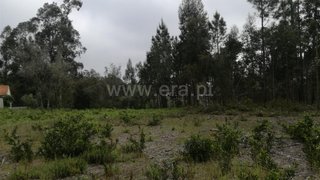 Land for sale in Cantanhede, Portugal — €25,000