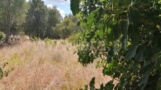 Land for sale in Sabugal, Portugal — €23,500