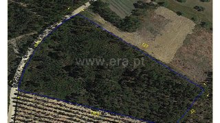 Land for sale in Montemor-o-Velho, Portugal