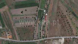 Land for sale in Cantanhede, Portugal — €47,500