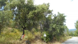 Land for sale in Vila Velha de Ródão, Portugal — €17,500