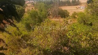 Land for sale in Tomar, Portugal — €105,000