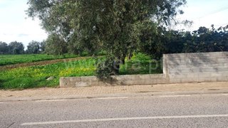 Land for sale in Cantanhede, Portugal — €25,000