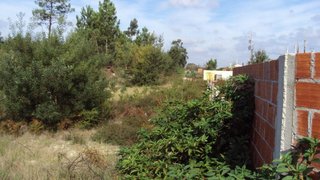 Land for sale in Mira, Portugal