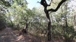 Land for sale in Tomar, Portugal — €90,000