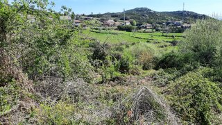 Land for sale in Coimbra, Portugal — €29,000