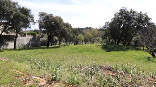 Land for sale in Tomar, Portugal — €40,000