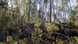 Land for sale in Ourém, Portugal — €180,000