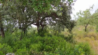 Land for sale in Ourém, Portugal — €22,500
