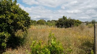 Land for sale in Abrantes, Portugal — €110,000