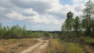 Land for sale in Castelo Branco, Portugal — €11,380