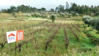 Land for sale in Gouveia, Portugal — €22,500