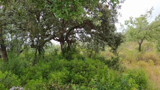 Land for sale in Ourém, Portugal — €29,000