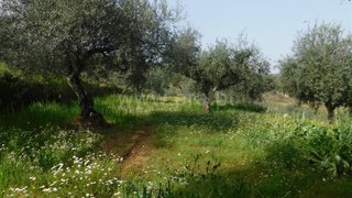 Land for sale in Fundão, Portugal — €39,000