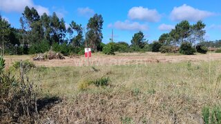 Land for sale in Cantanhede, Portugal — €29,800