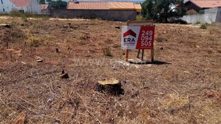 Terreno em Chamusca