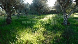 Land for sale in Fundão, Portugal — €8,000