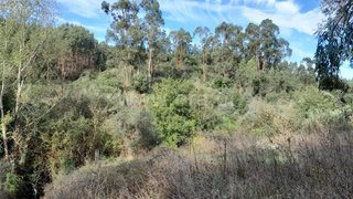 Land for sale in Abrantes, Portugal — €15,000