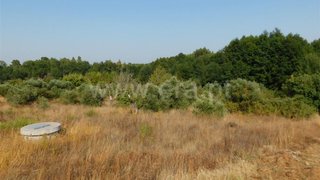 Land for sale in Fundão, Portugal — €8,000