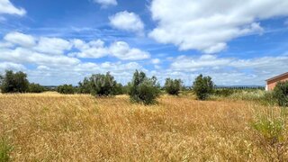 Terreno de 12 480 m² em Santarém