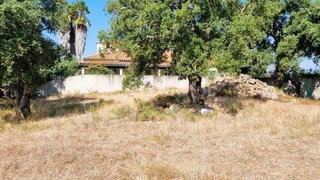 Land for sale in Tomar, Portugal — €70,000