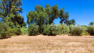 Land for sale in Tomar, Portugal — €9,900