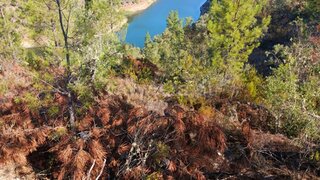 Land for sale in Vila Velha de Ródão, Portugal — €13,610