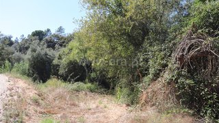 Land for sale in Ourém, Portugal — €9,900